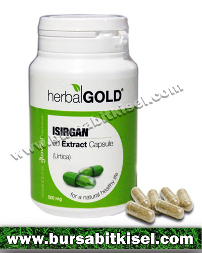 zzHerbalGold Isırgan Ekstrakt 60 Kapsül