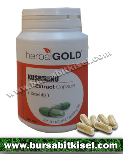 zzHerbalGold Kuşburnu Ekstrakt 60 Kapsül