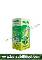 zzHerbalFarma Nane Uçucu Yağı 20cc