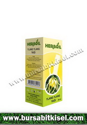 zzHerbalFarma Ylang Ylang Yağı 20cc